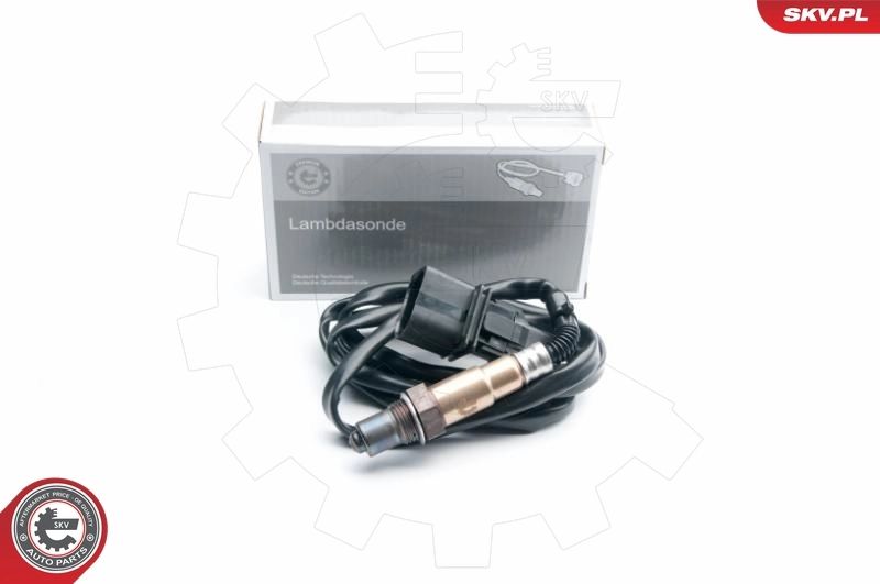 Oxygen Sensor